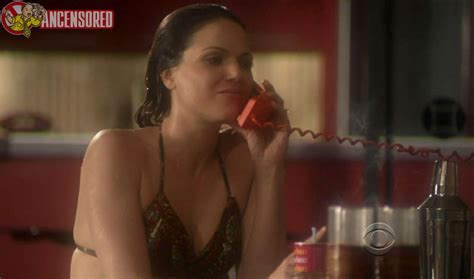 Lana Parrilla Desnuda En Swingtown