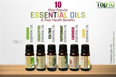 Most Popular Essential Oils Their Health Benefits Essential Oils