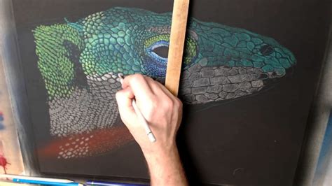 Pastel Pencil Drawing Techniques Wildlife Art Tutorial Jason Morgan