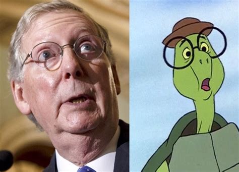 Mitch Mcconnell Looks Like A Turtle Meme 03 Comics And Memes