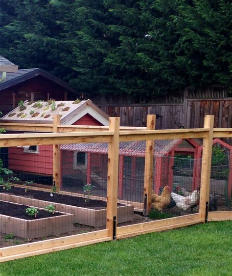 chicken coop with attached fenced in garden chicken coop garden fenced vegetable garden herb