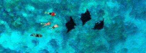 Exploring Fiji: An Insider’s Guide to Island Hopping | Spacifica Travel