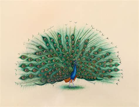 Dancing Peacock Exotic India Art