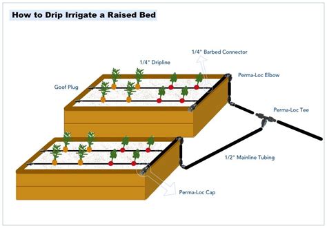 Raised Bed Drip Irrigation Kit Buying Guide Drip Irrigation Kit Drip