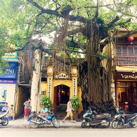 Authentic Things To Do In Hanoi Discover The Real Hanoi