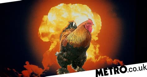 British Scientists Wanted To Make Chickens Live Inside Nuclear
