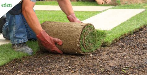 Sod Installation How To Lay Sod Eden Lawn Care And Snow Removal