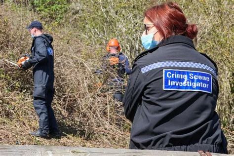 Steven Clark Murder Probe Police Cut Back Undergrowth As Hunt For Clues Goes On Teesside Live