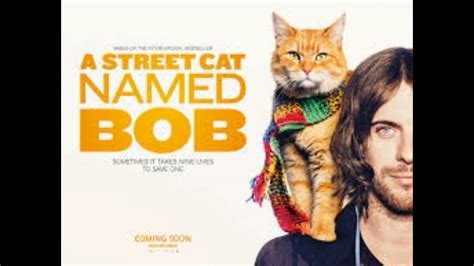A Street Cat Named Bob Review Youtube
