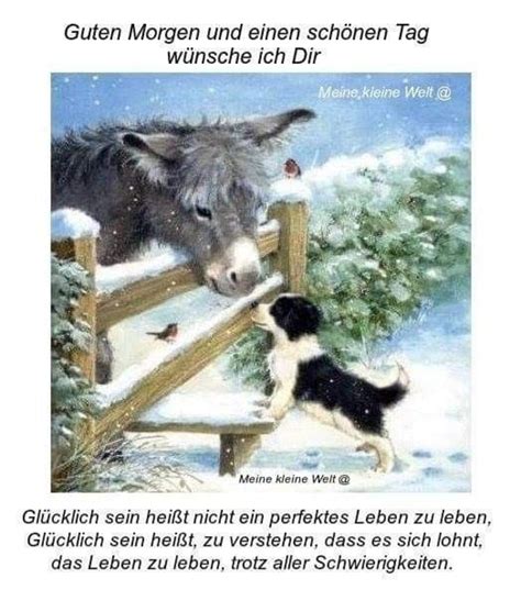 Check spelling or type a new query. Elchens Bilderwelt Kostenlos