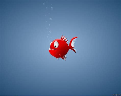 Awesome Fish 2016 4289583 Animated Fish Hd Wallpaper Pxfuel
