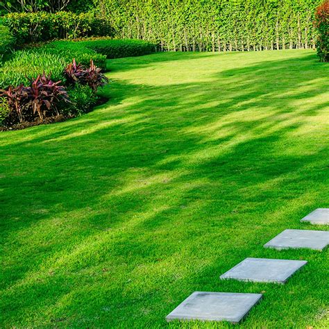 Having a green lawn is a mark of pride for many homeowners. Which Lawn Care Company Is Right for You? | Green Lawn ...