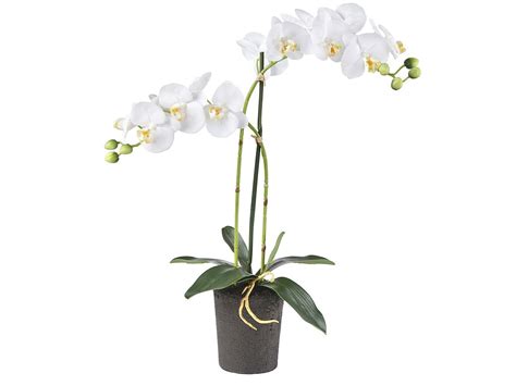 Kunstplant Orchidee Phalaenopsis Tak Wit Voor Binnen Kwaliteit