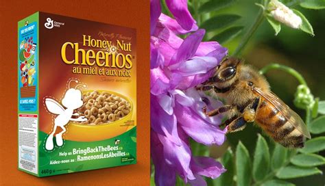 Honey Nut Cheerios Removes Mascot From Boxes To Raise Awareness About