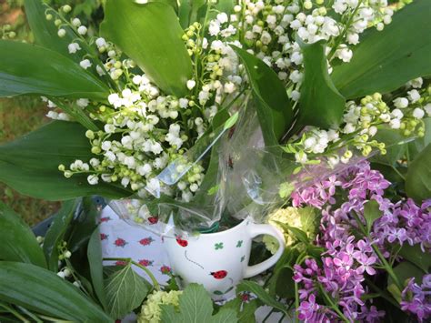 Photo coccinelles, coccinelle insecte, brin de muguet, muguet porte bonheur,. Un peu de bonheur en fleurs - passion