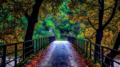 Beautiful Bridge Between Colorful Autumn Trees Towards Forest Hd Nature