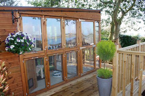 Pictures Of Our Luxury Helsby Cattery