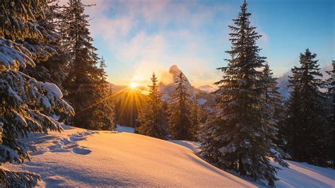 Alps Winter Snow Trees Sun Rays Wallpaper 1600x900 Resolution