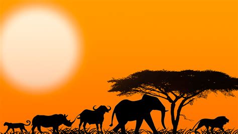 African Sunset Silhouette at GetDrawings | Free download