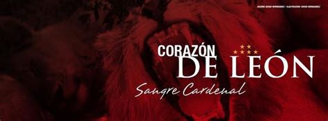 El club independiente santa fe mejor conocido como independiente santa fe o simplemente santa fe, es un club de fútbol fundado el 28 de febrero de 1941 en el centro histórico de la ciudad de bogotá, capital de colombia. Santa Fe hincha # 1: Fondos de Pantalla del glorioso ...