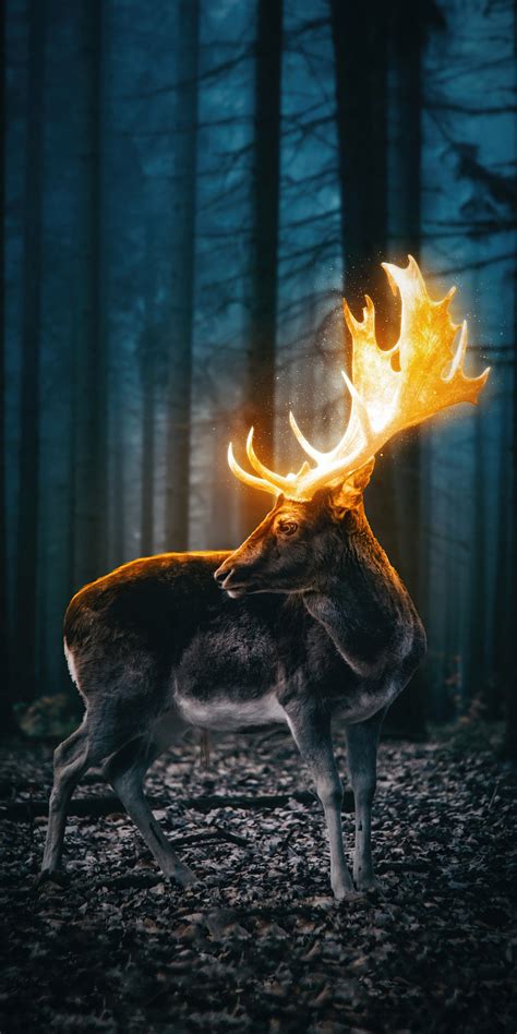 1080x2160 Magical Reindeer Forest 5k One Plus 5thonor 7xhonor View 10