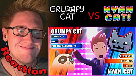 Grumpy Cat Vs Nyan Cat 60fps Animeme Rap Battles Reaction Epic