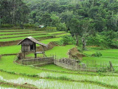 Maybe you would like to learn more about one of these? Pemandangan di sawah | Pemandangan, Foto alam, Langit