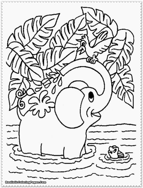 Have the children color various animals in whatever way they like. Realistic Jungle Animal Coloring Pages | Realistic ...