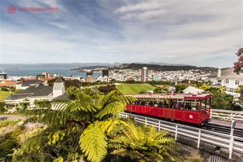 O que fazer em Wellington a capital da Nova Zelândia Vida Cigana