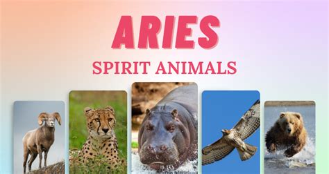 7 Aries Spirit Animals That Embody This Zodiac Sign So Syncd