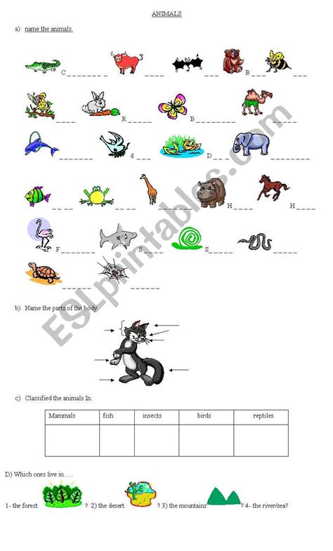 Animal Classification Esl Worksheet By Cositadulce
