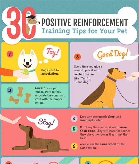 How Do You Train A Dog With Positive Reinforcement