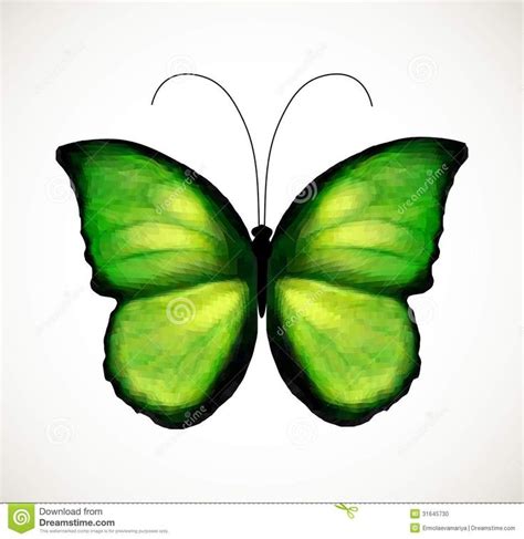 Bright green butterfly. Vector | Butterflies vector, Green butterfly