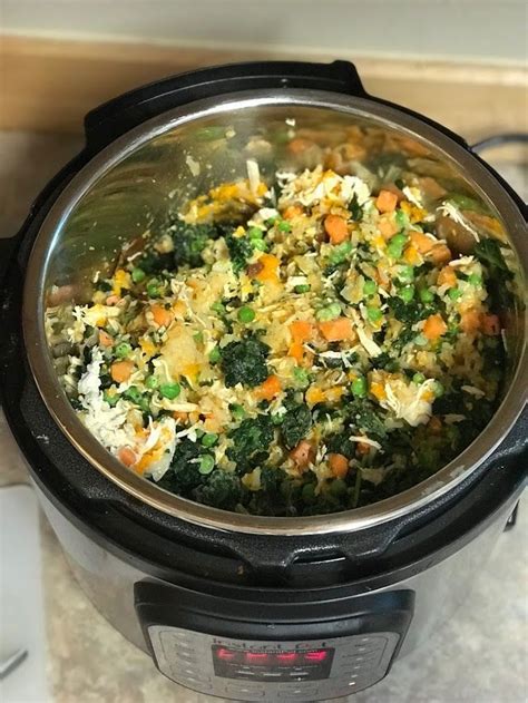 Things such as gluten, soy, corn, and. Easy, Healthy Instant Pot Dog Food Recipe | Dog food ...