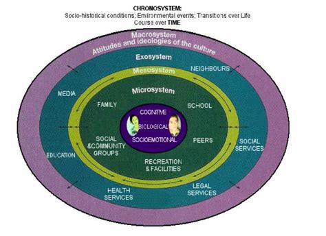 Bioecological Model Of Human Development Educational Learning Theories