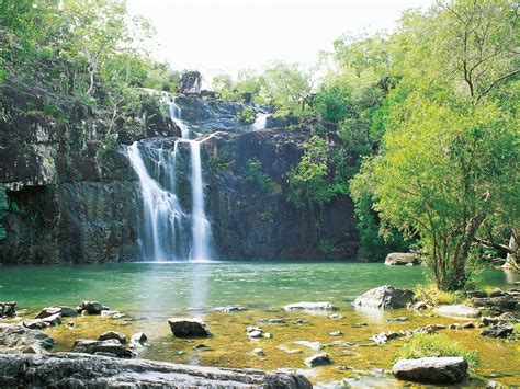 Cedar Creek Falls - Attraction - Queensland