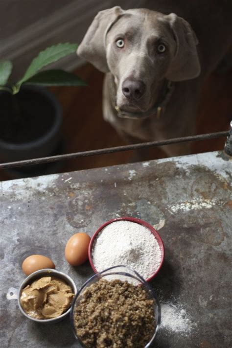 How To Make Spent Beer Grain Dog Treats Recipe 17 Apart Spent