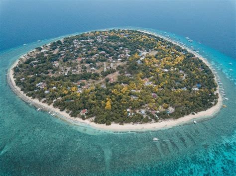 Best Things To Do In Panglao Island Bohol In