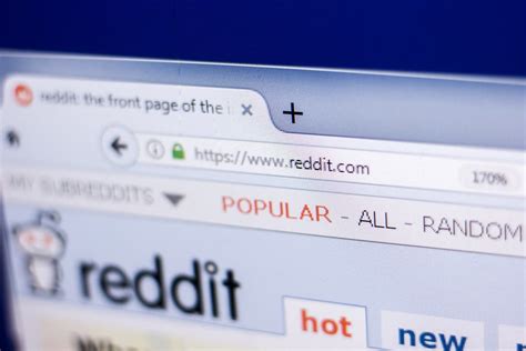 How Anonymous Is Reddit Itgeared