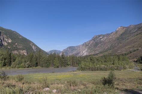 The Waves Spray And Foam River Katun In Altai Mountains Siberia