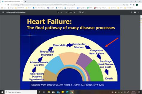 Heart Failure Flashcards Quizlet
