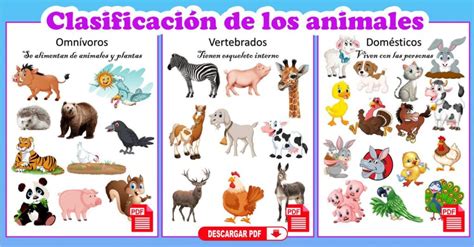 Fichas Educativas Para Clasificar Los Animales Nivel Preescolar