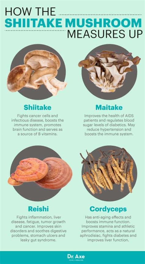 Shiitake Mushrooms 8 Scientifically Proven Benefits Dr Axe