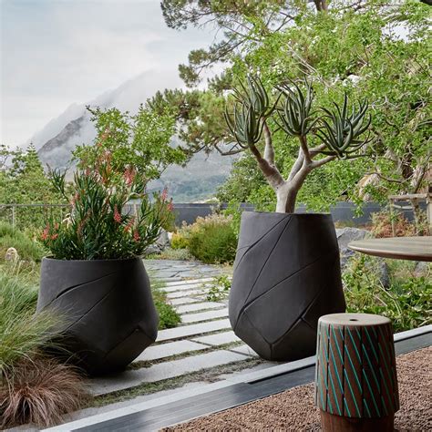 Large Plant Pots For Trees Amazon at Steven Marvin blog