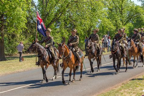 Centenary Event Kingston Avenue Of Honour