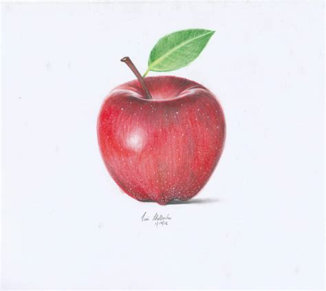 Colored Pencil Realistic Apple Drawing