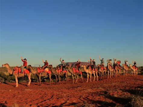 A unique way to experience the beauty of this outback phenomenon, this one hour tour is accompanied by experience guides who. Take a Camel To Sunrise Tour