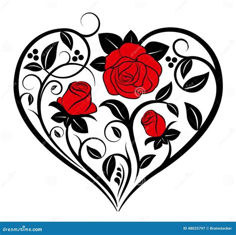 Floral Heart Stock Vector Image 48025797
