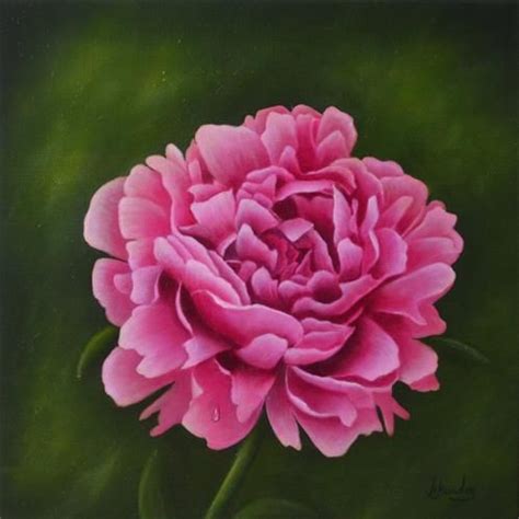 Daily Paintworks Pink Peony Original Fine Art For Sale