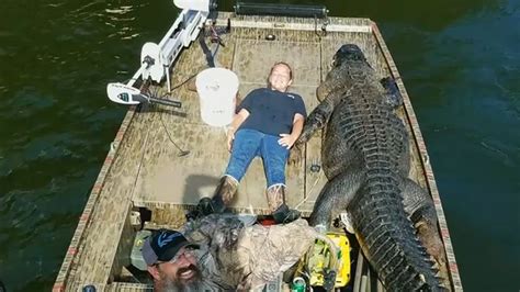 The Biggest In The World Alligator